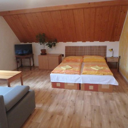 Apartments Vecernik Rokytnice Rokytnice nad Jizerou Ngoại thất bức ảnh